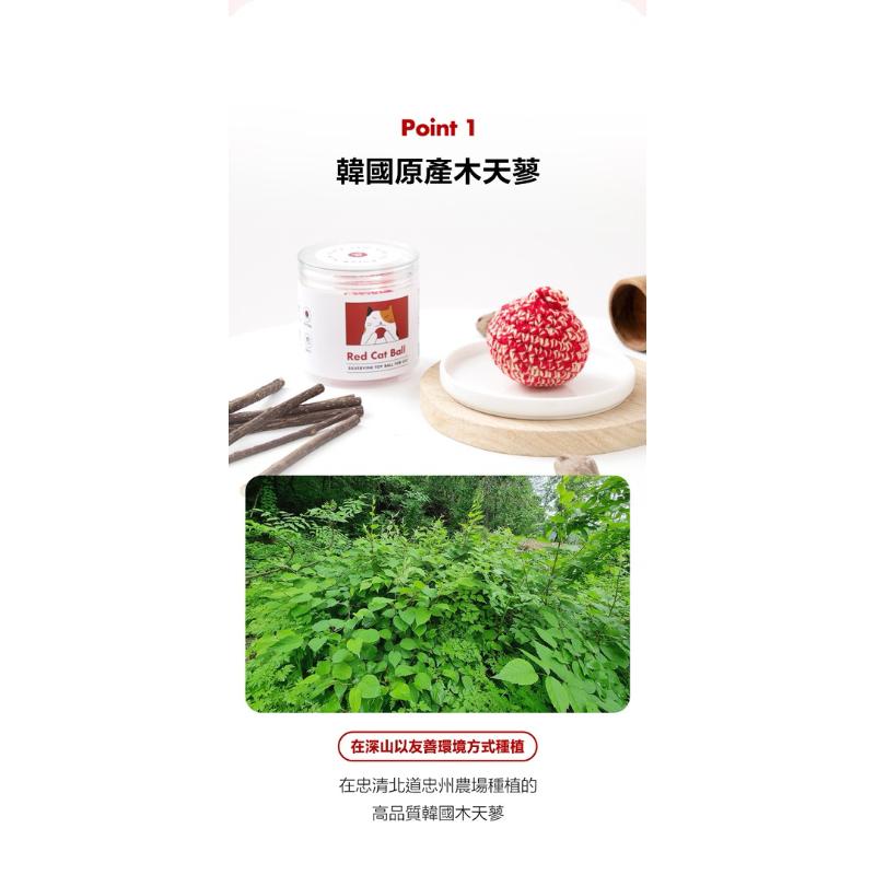 寵愛有家｜JAYU PET 韓國獸醫護理品牌 木天蓼貓咪舒壓球-細節圖6