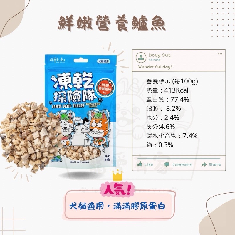 寵愛有家｜可蒂毛毛凍乾探險隊 貓咪凍乾 狗狗凍乾 犬零食 貓零食 還原凍乾-規格圖1