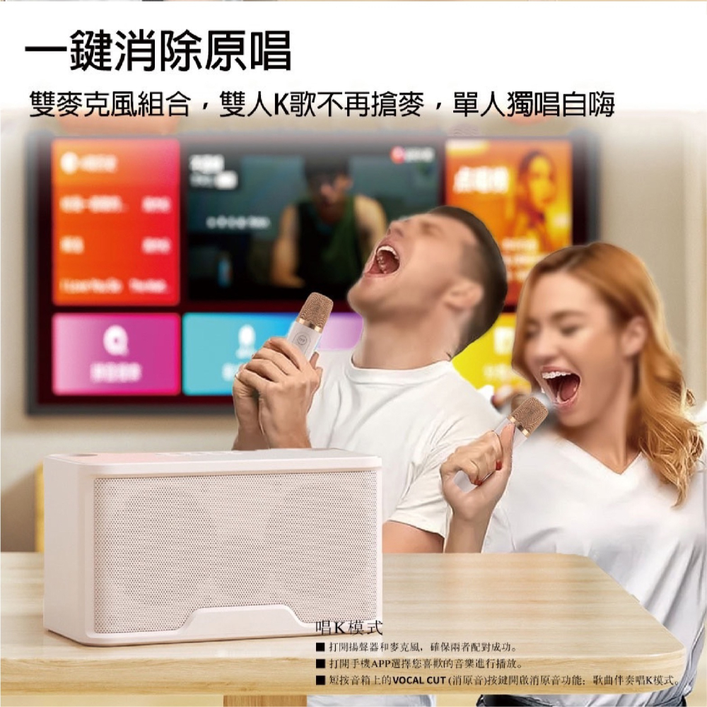 KooPin 雙人 無線 麥克風 行動 KTV 音響組 適 露營 野餐 派對-細節圖5