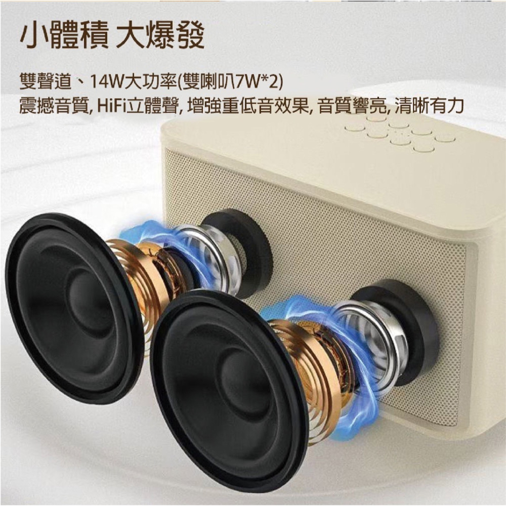 KooPin 雙人 無線 麥克風 行動 KTV 音響組 適 露營 野餐 派對-細節圖6