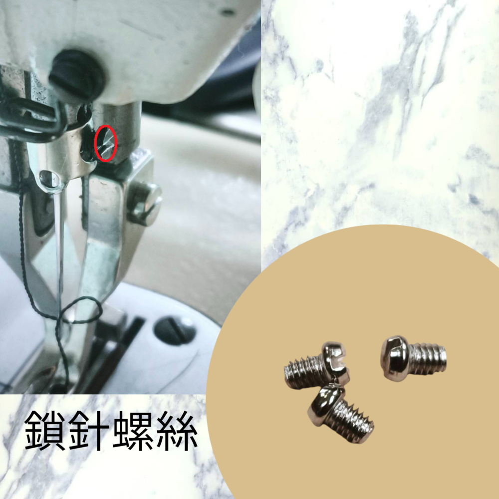 針車配件常用螺絲/1顆-細節圖5