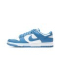 Nike Dunk Low 黑白熊貓 灰白 黑白 百搭 情侶鞋 DD1391-100 DD1391-103-規格圖8