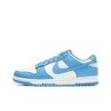 Nike Dunk Low 黑白熊貓 灰白 黑白 百搭 情侶鞋 DD1391-100 DD1391-103-規格圖8