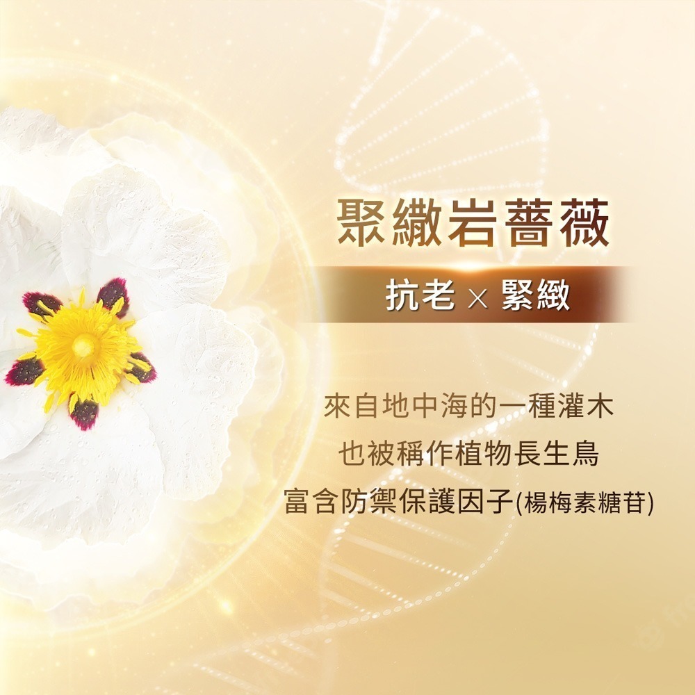 【限量搶購】我的美麗日記 岩薔薇超能抗老面膜5入 (效期：2027/3/01)-細節圖4