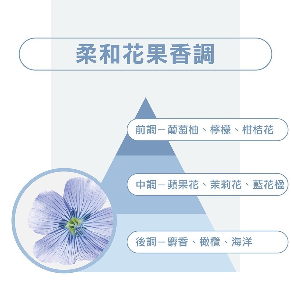蔻蘿蘭豐盈澎鬆洗髮精400ml-細節圖4