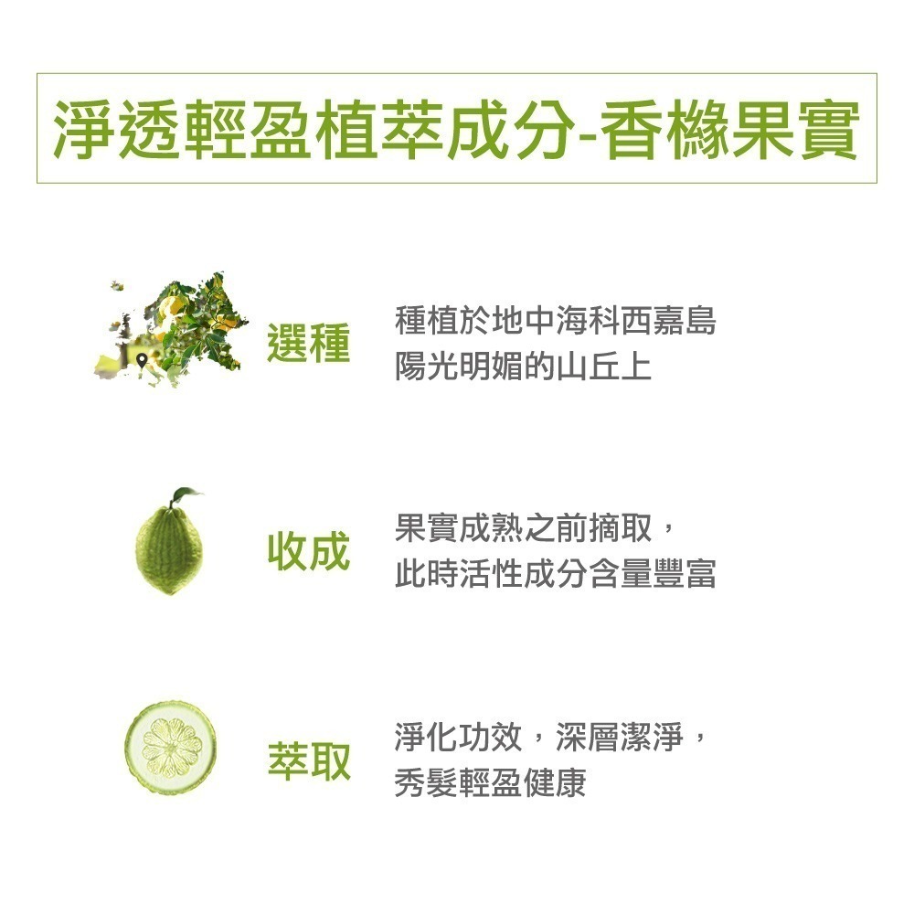 蔻蘿蘭淨透輕盈洗髮精400ml-細節圖3