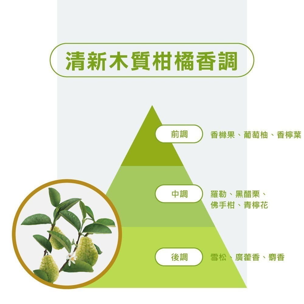 蔻蘿蘭淨透輕盈洗髮精400ml-細節圖4