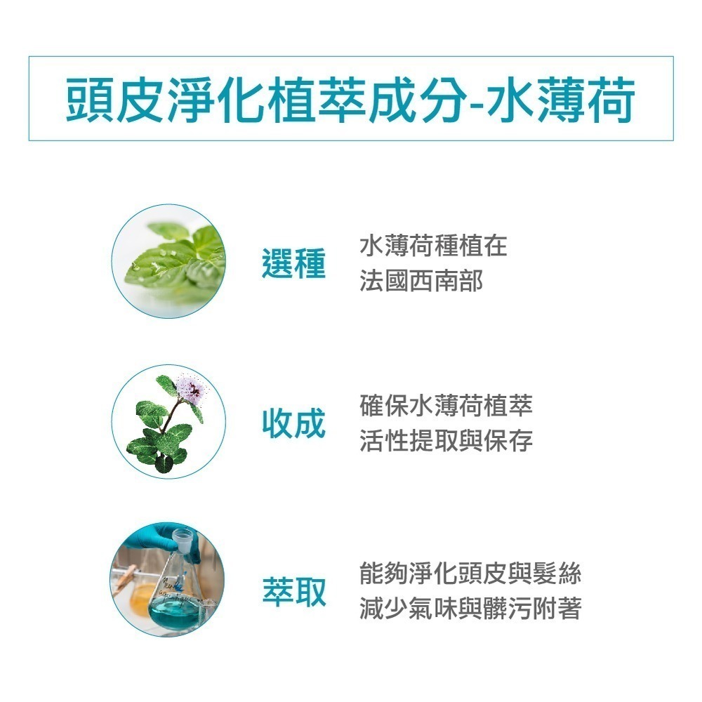 【限量搶購】蔻蘿蘭頭皮淨化清新精華100ml (效期：2025/03/01)-細節圖3