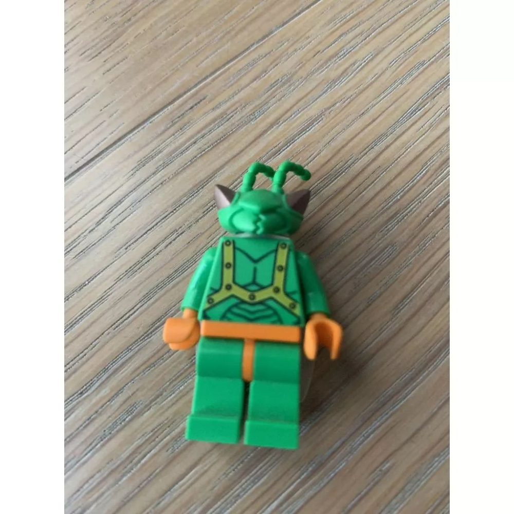 二手 樂高 LEGO 玩具總動員 7599 螳螂人 蒼蠅人 絕版 toy007-細節圖8