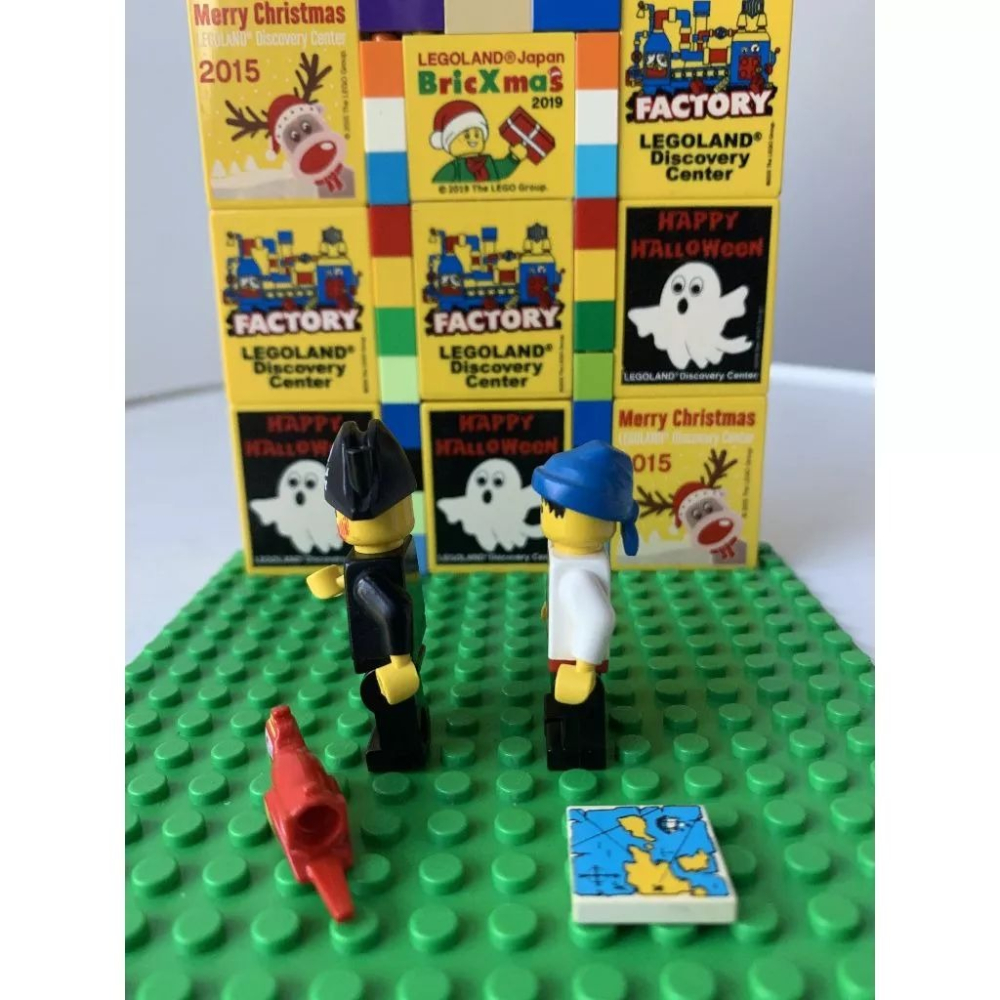 二手 樂高 LEGO 海盜 人偶 船長 女人 兩隻 含地圖 鸚鵡-細節圖6