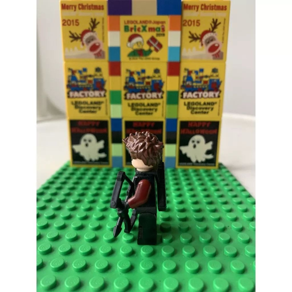 二手 樂高 LEGO 超級英雄 復仇者聯盟 鷹眼 sh0172 76042-細節圖3