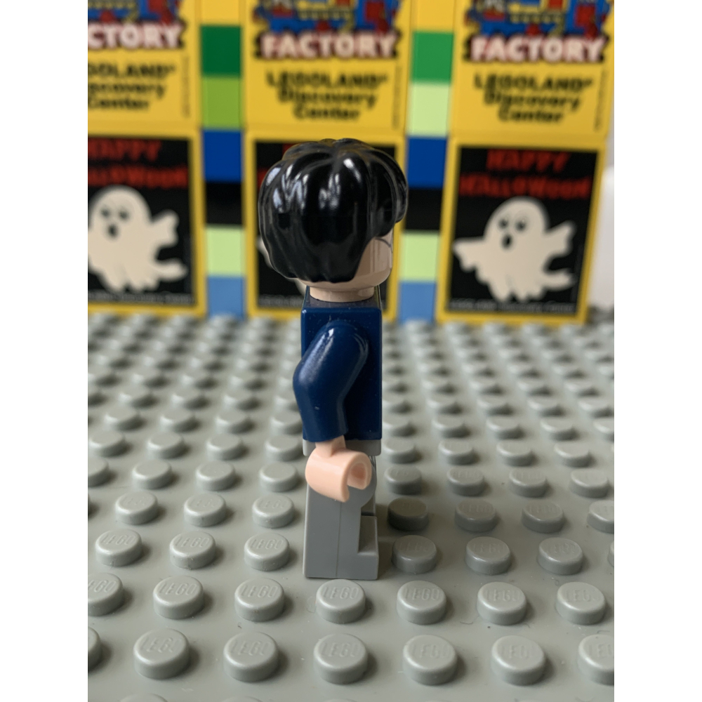 二手 樂高 LEGO 哈利波特 哈利波特 Harry Porter hp087 71022-細節圖2
