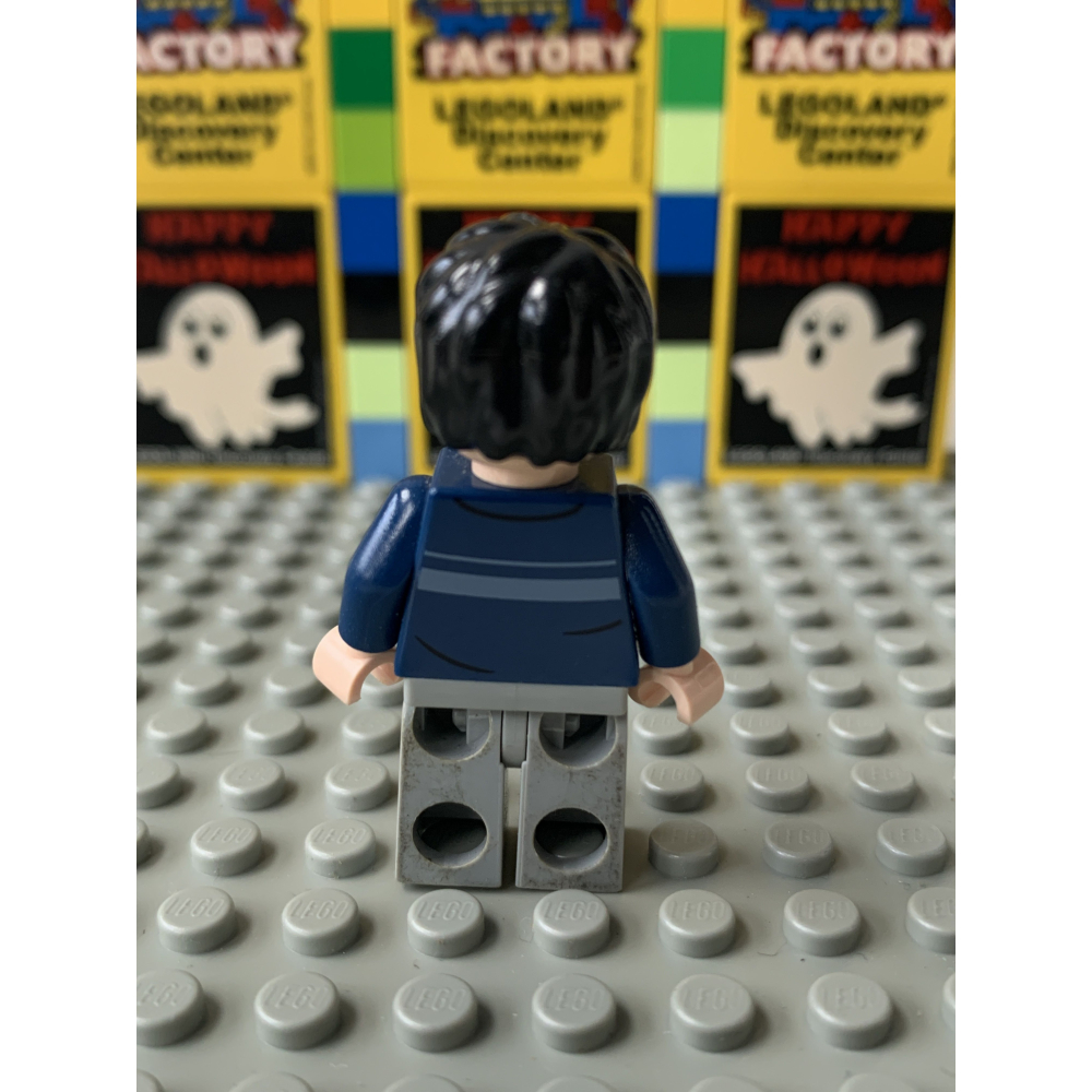 二手 樂高 LEGO 哈利波特 哈利波特 Harry Porter hp087 71022-細節圖3