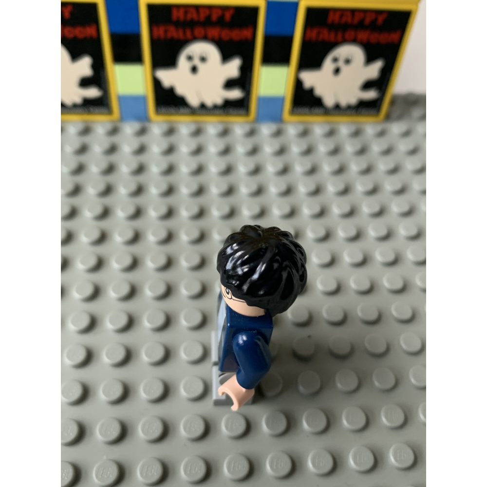 二手 樂高 LEGO 哈利波特 哈利波特 Harry Porter hp087 71022-細節圖5