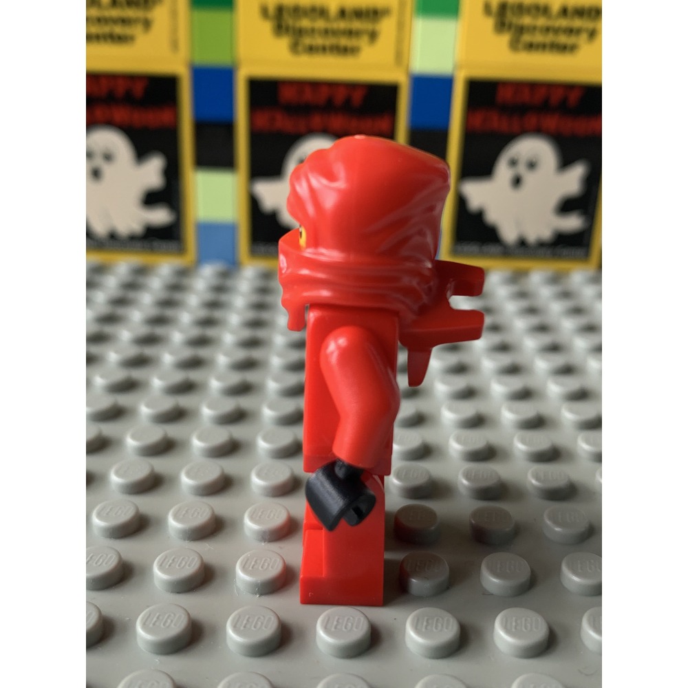 二手 樂高 LEGO 旋風忍者 2507 2254 2518 紅忍 凱 Kai DX njo0009 龍服-細節圖5