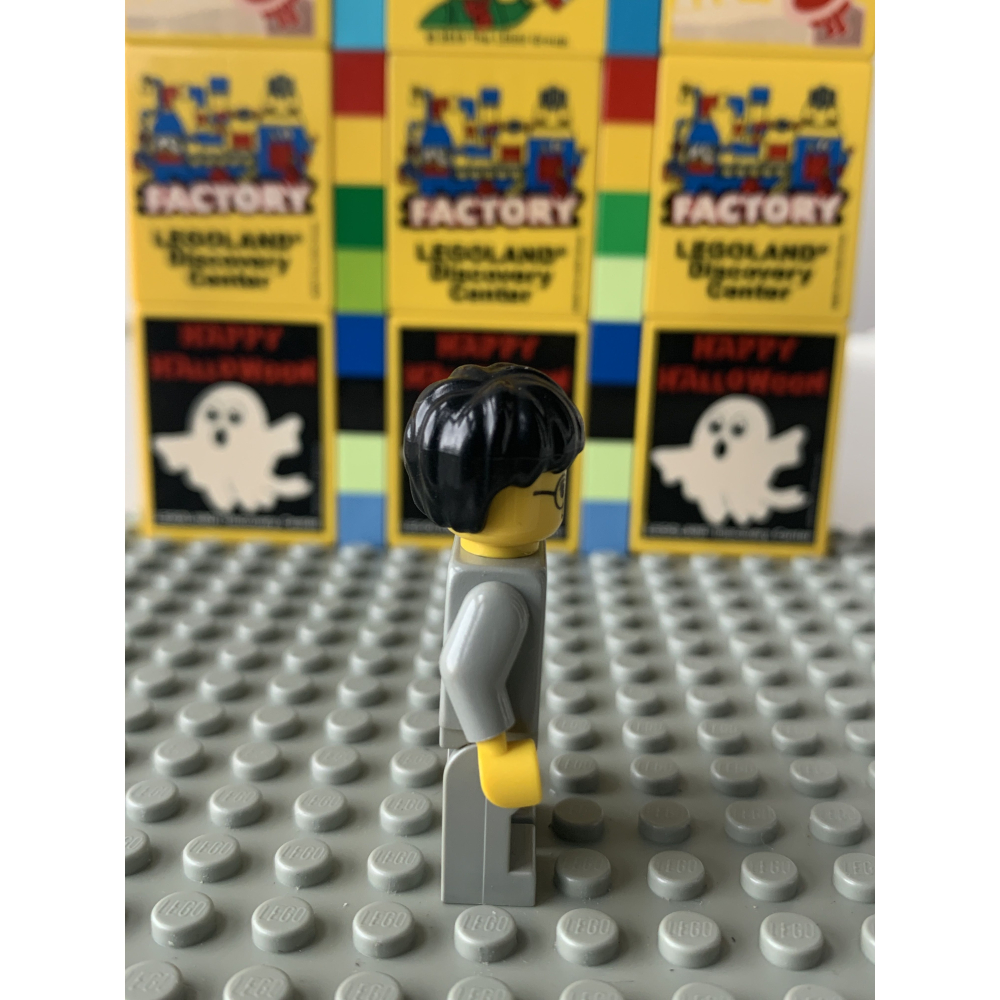 二手 樂高 LEGO 哈利波特 Harry Porter hp005-細節圖2