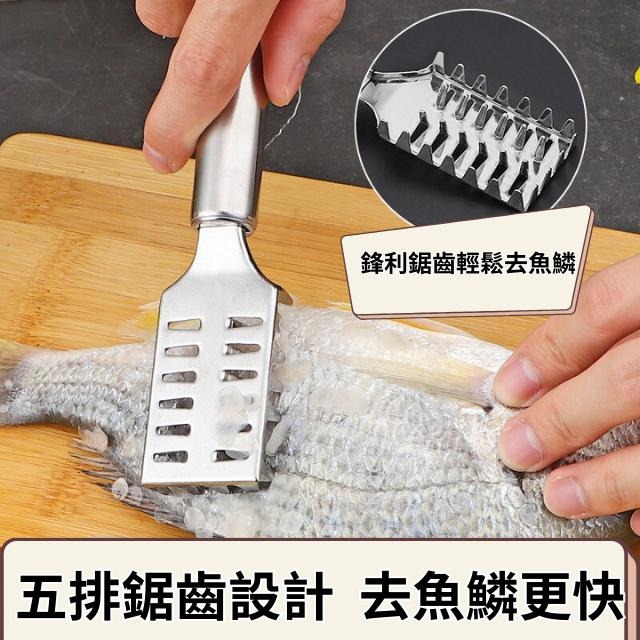 [新品上架] 刮鱗器 刮魚鱗 刮魚鱗器 刮鱗器銀色 刮 殺魚 刮鱗刀 去魚鱗 廚房工具 魚鱗刨-細節圖2