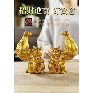 麒麟臂劫財貓-細節圖2