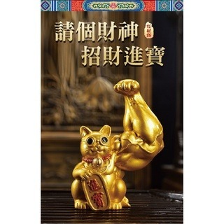 麒麟臂劫財貓-細節圖4