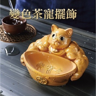 麒麟臂劫財貓-細節圖7