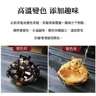 麒麟臂劫財貓-細節圖8