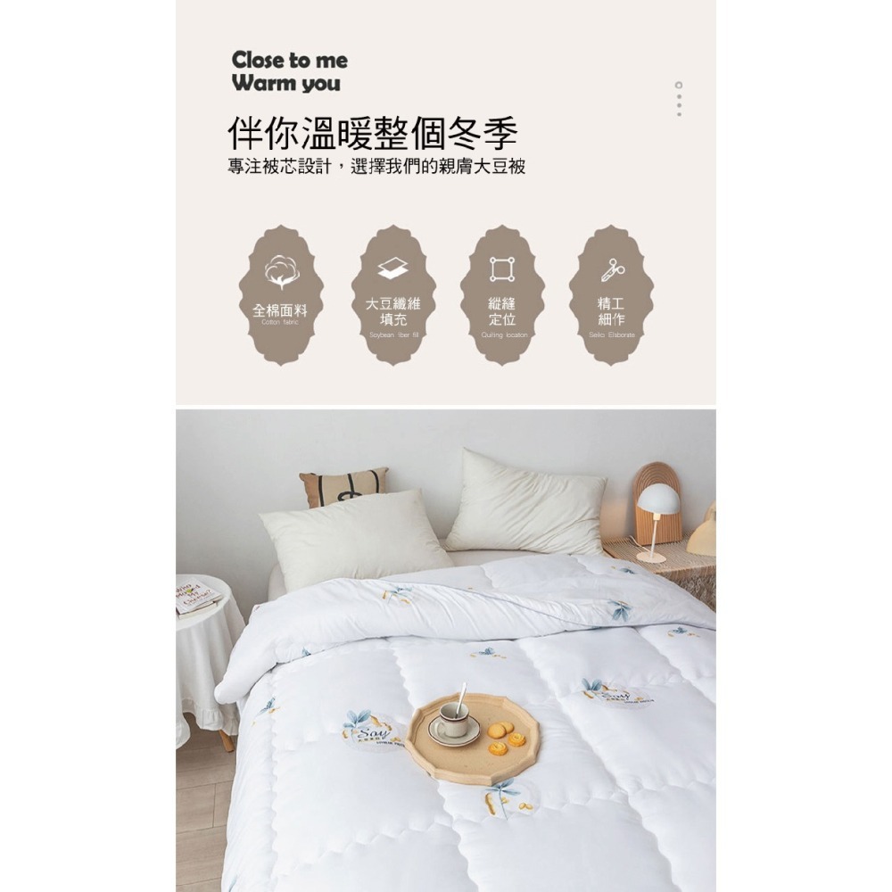 天然石墨烯豆腐抗菌冬被-細節圖4