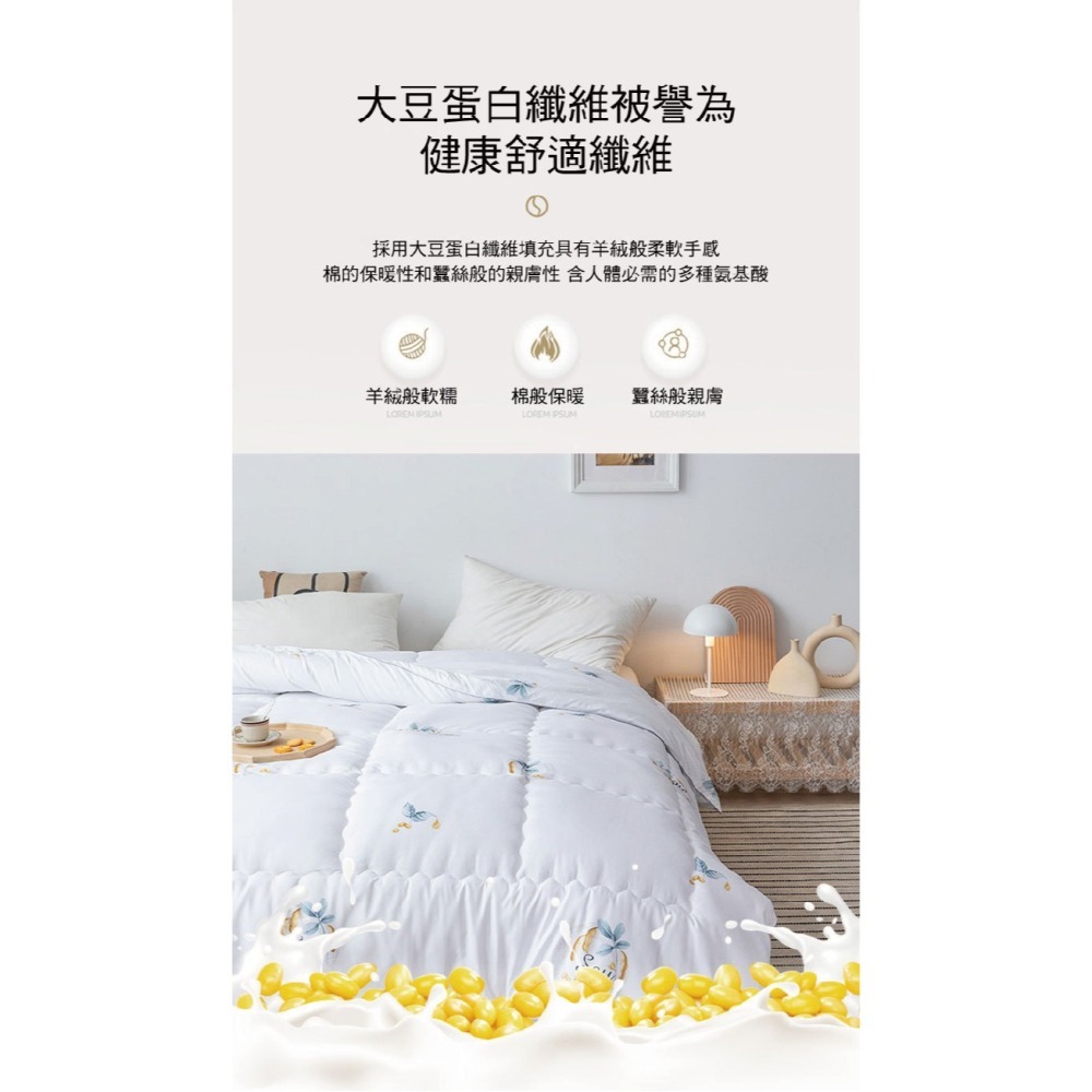 天然石墨烯豆腐抗菌冬被-細節圖5