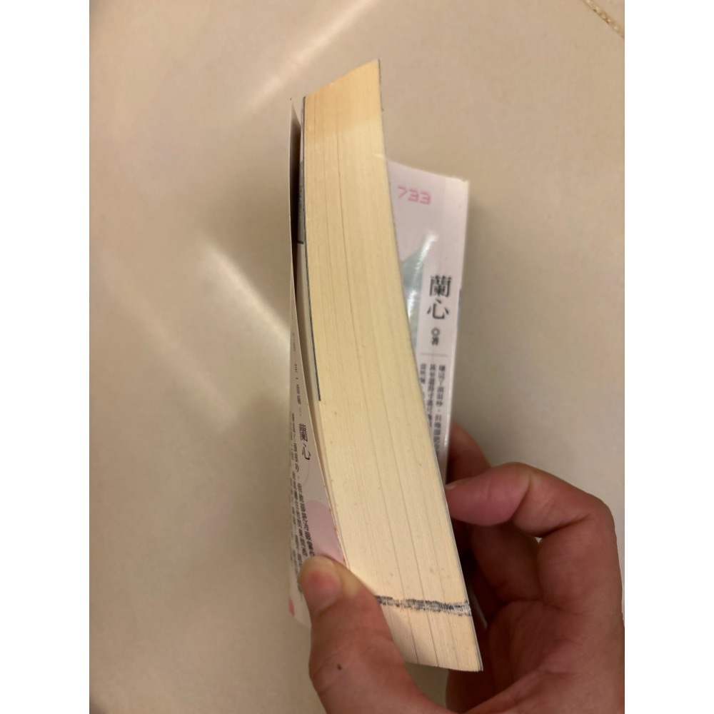 二手口袋小說-夫君請上鈎-細節圖3