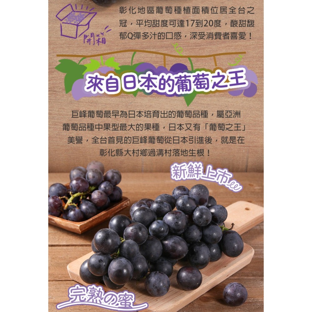 預購 彰化巨峰葡萄(600g/盒) 葡萄之王_冷藏-細節圖2