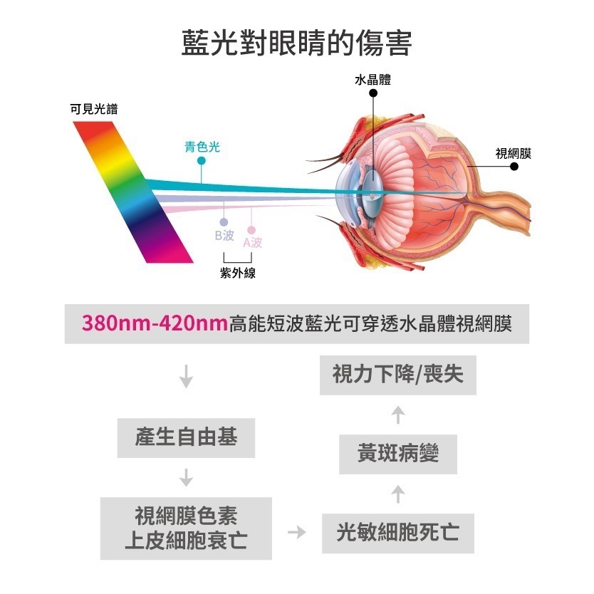 【Babyeyes】iPhone 濾藍光 防窺 護眼 保護玻璃貼膜 ( 下單請私訊型號 )-細節圖3