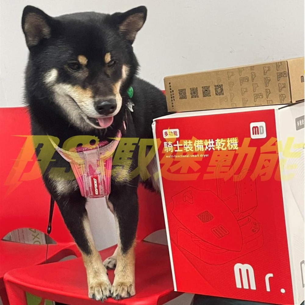 【送騎士頭套】DS馭速動能-Mr. Dryer 多功能騎士裝備烘乾機 安全帽 手套 殺菌 除臭 烘乾 MD-100D-細節圖5