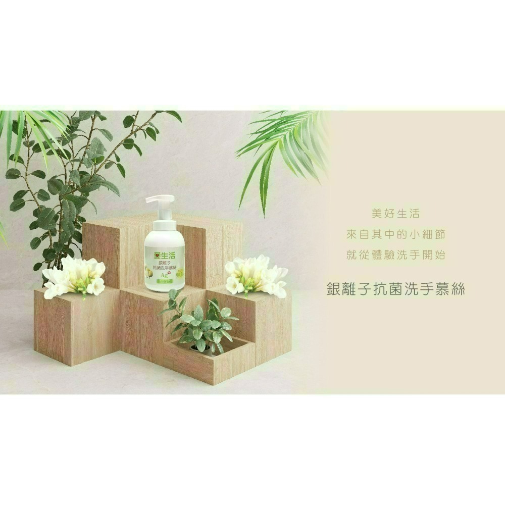 現貨 銀離子洗手慕絲300mL 乾洗手 洗手乳 洗手慕斯 洗手液 起泡瓶 浴室 清潔【歐銀抗菌專家】-細節圖9