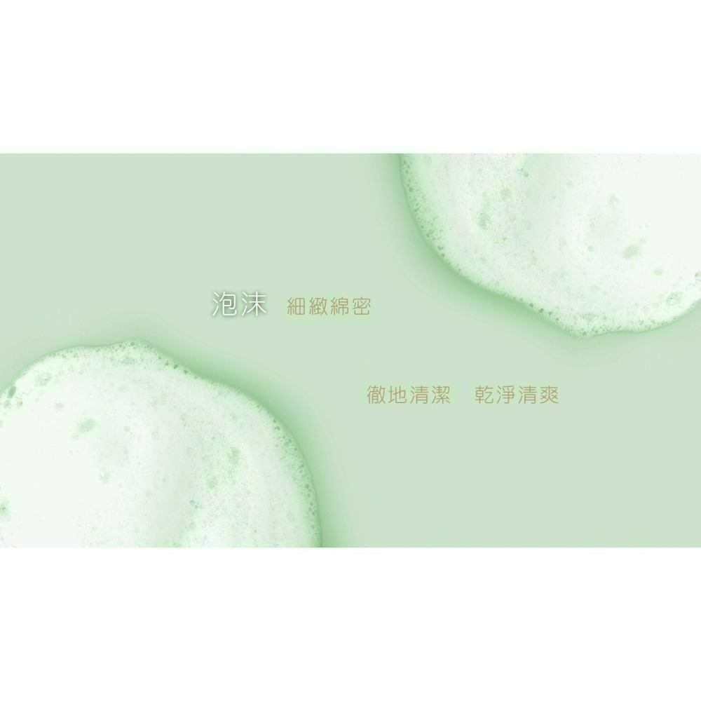 現貨 銀離子洗手慕絲300mL 乾洗手 洗手乳 洗手慕斯 洗手液 起泡瓶 浴室 清潔【歐銀抗菌專家】-細節圖5