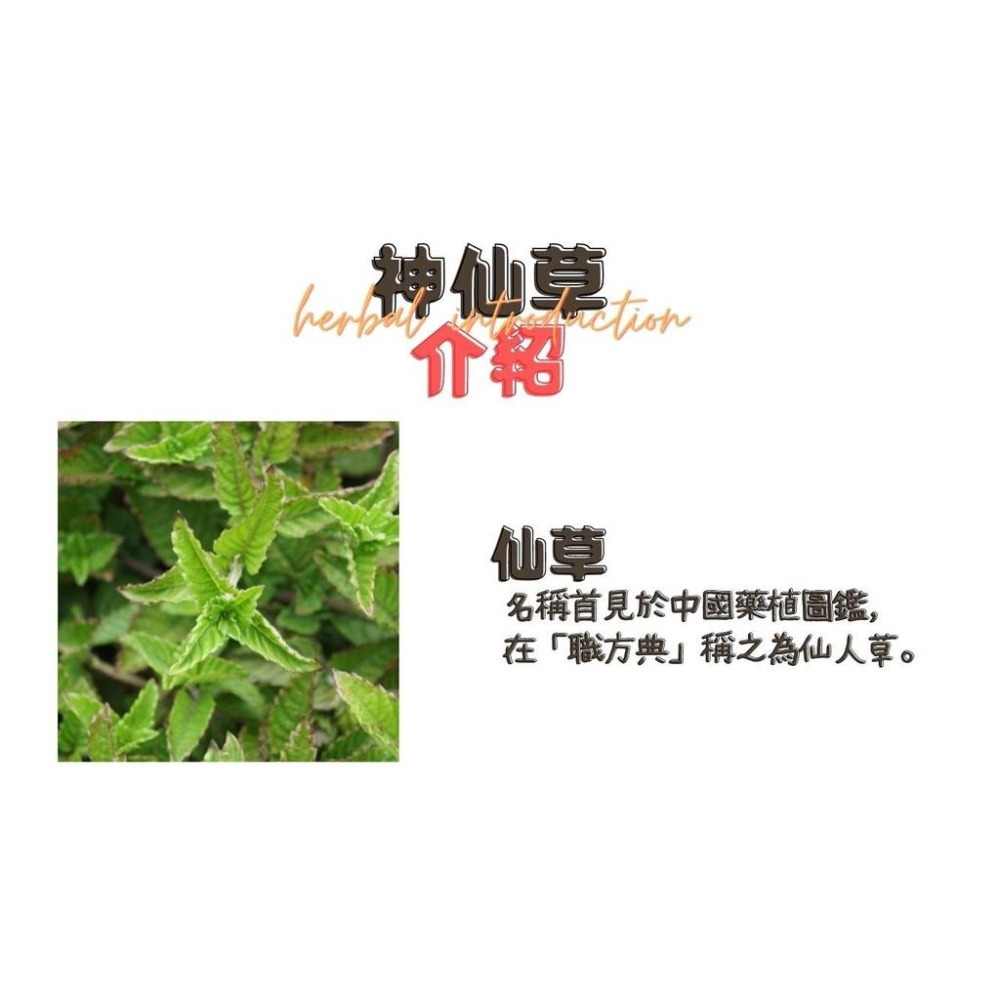 仙草乾【關西鎮農會】：180g/ 包-細節圖6