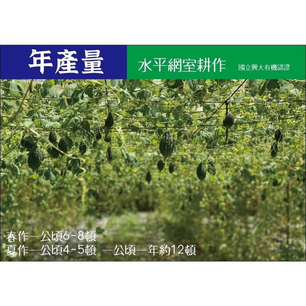 有機山苦瓜茶【淺草堂】(360ml/瓶) 6瓶/盒-細節圖5