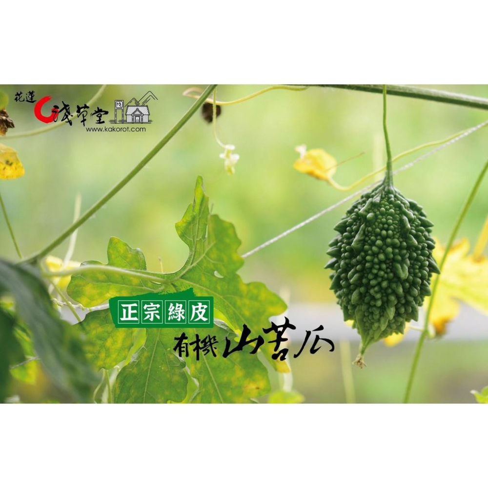 有機山苦瓜茶【淺草堂】360ml/瓶-細節圖4