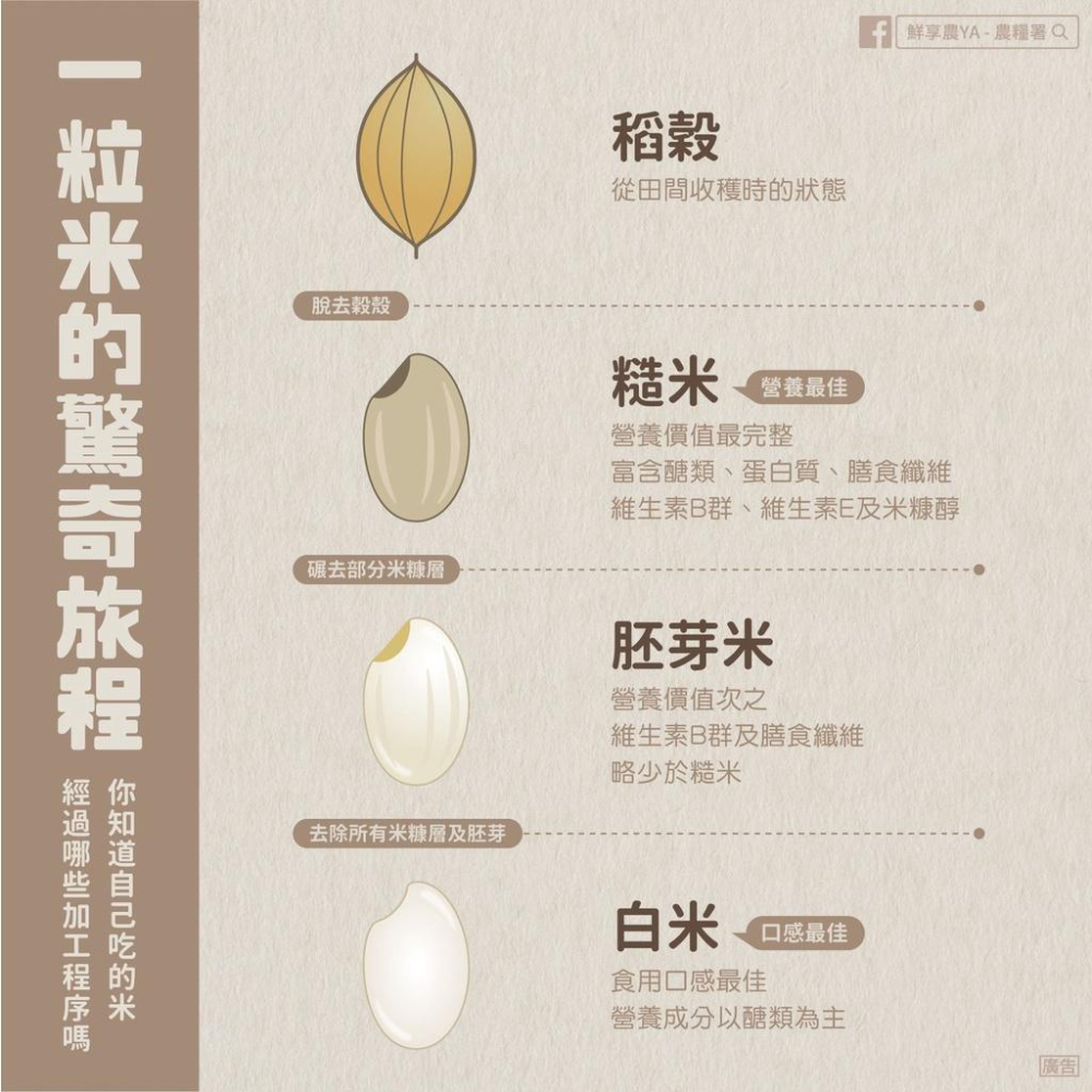 有機白米【張錦龍】：2kg/包-細節圖3