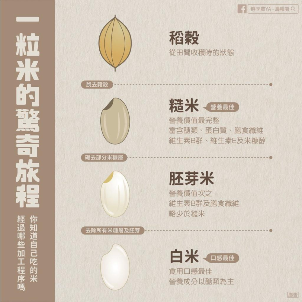 有機糙米【張錦龍】：2kg/包-細節圖3