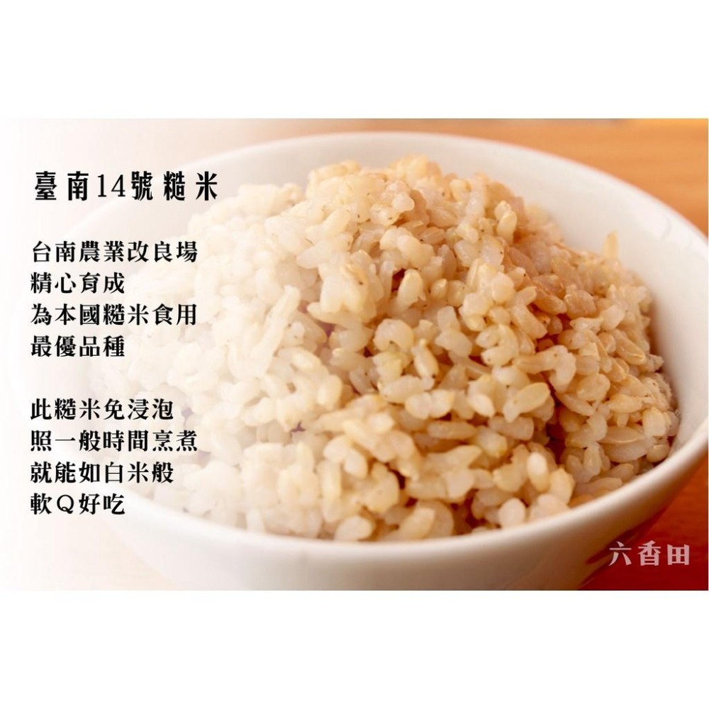 免泡糙米【六香田】：2kg/包-細節圖3