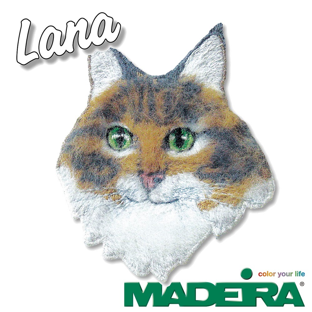 德國Madeira羊毛線專用針110#18(5入裝) Art.Madeira-9452 | 羊毛刺繡車針|毛絨|毛海刺繡-細節圖2