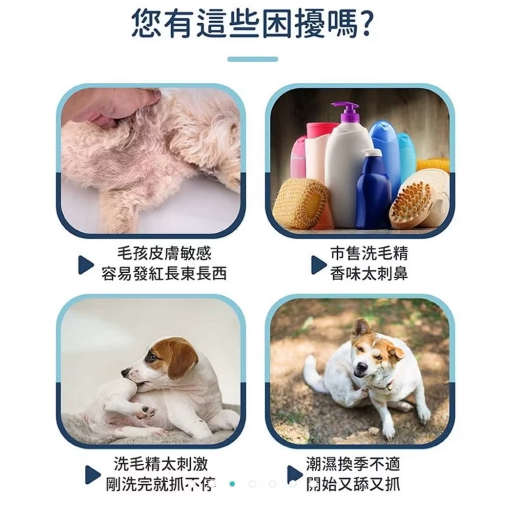 效期:2027/12 黃金盾 寵物皮膚問題洗毛精 500ml-細節圖2