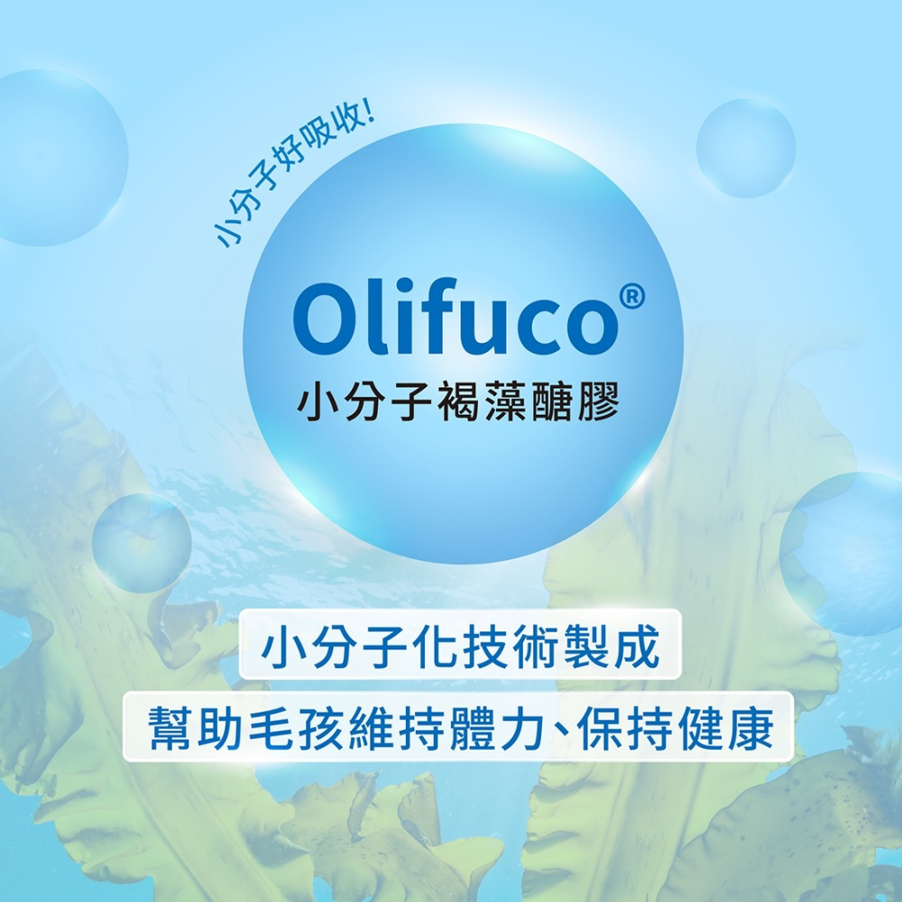 Hi-Q Pets 日常照護-藻康留ImmuArmor(30顆/盒)-細節圖4