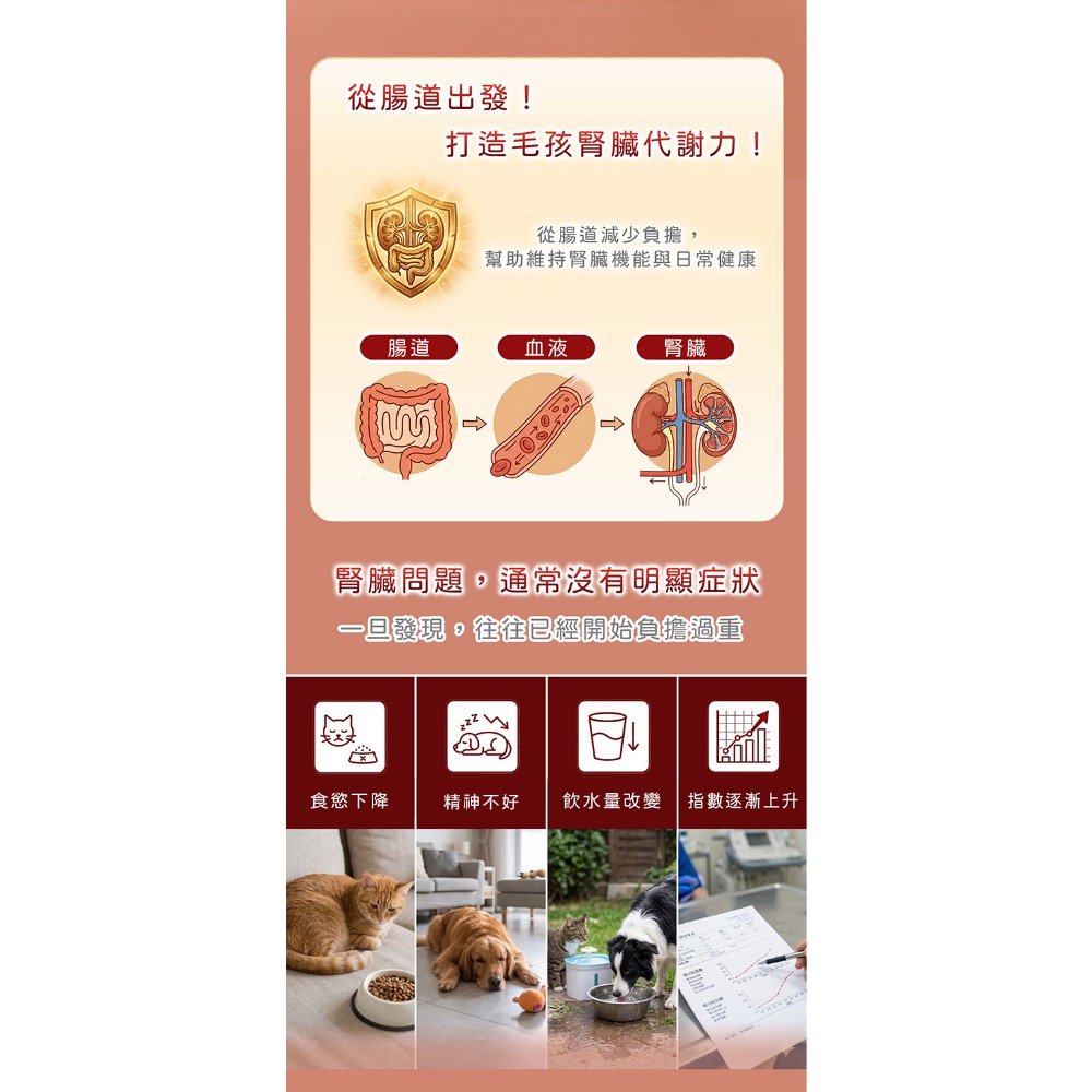 腎護力 Renal Force 60顆/1盒 犬貓共用-細節圖3