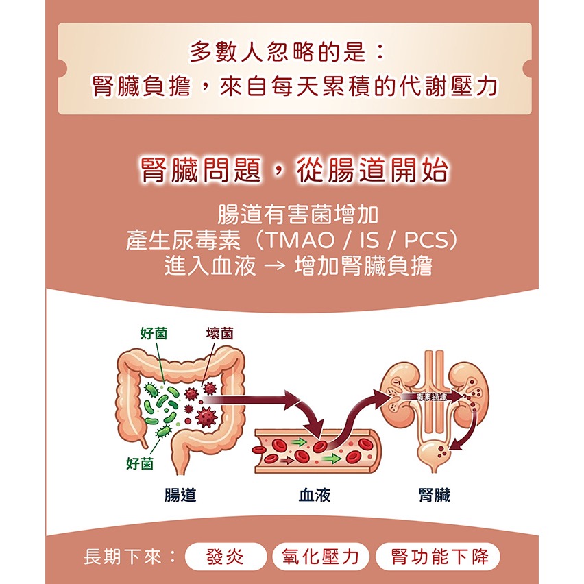 腎護力 Renal Force 60顆/1盒 犬貓共用-細節圖4