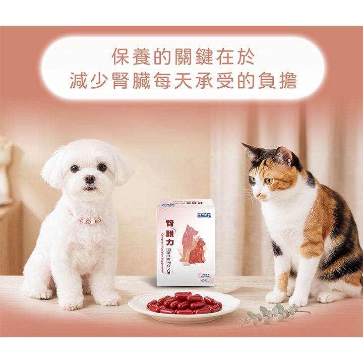 腎護力 Renal Force 60顆/1盒 犬貓共用-細節圖5