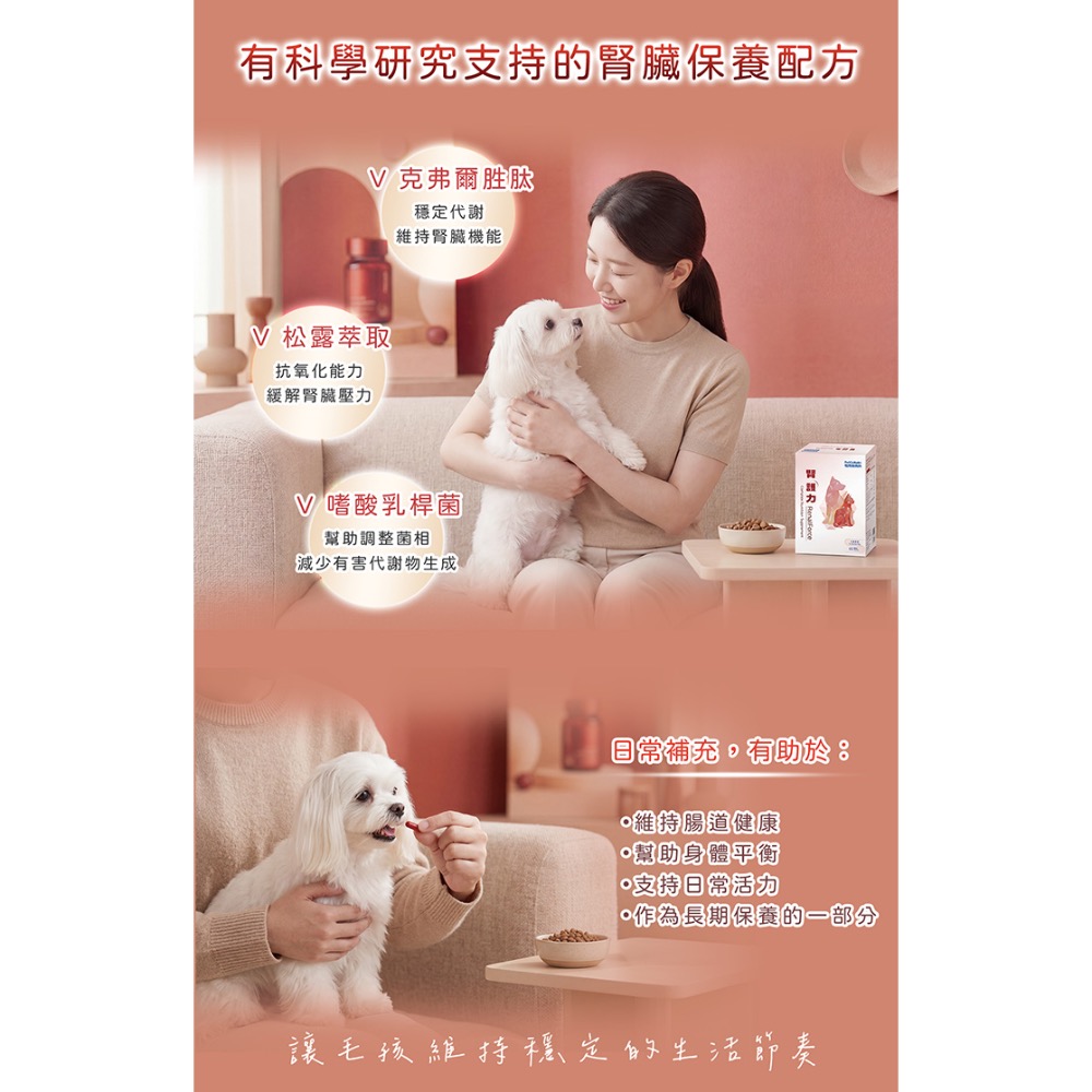 腎護力 Renal Force 60顆/1盒 犬貓共用-細節圖7