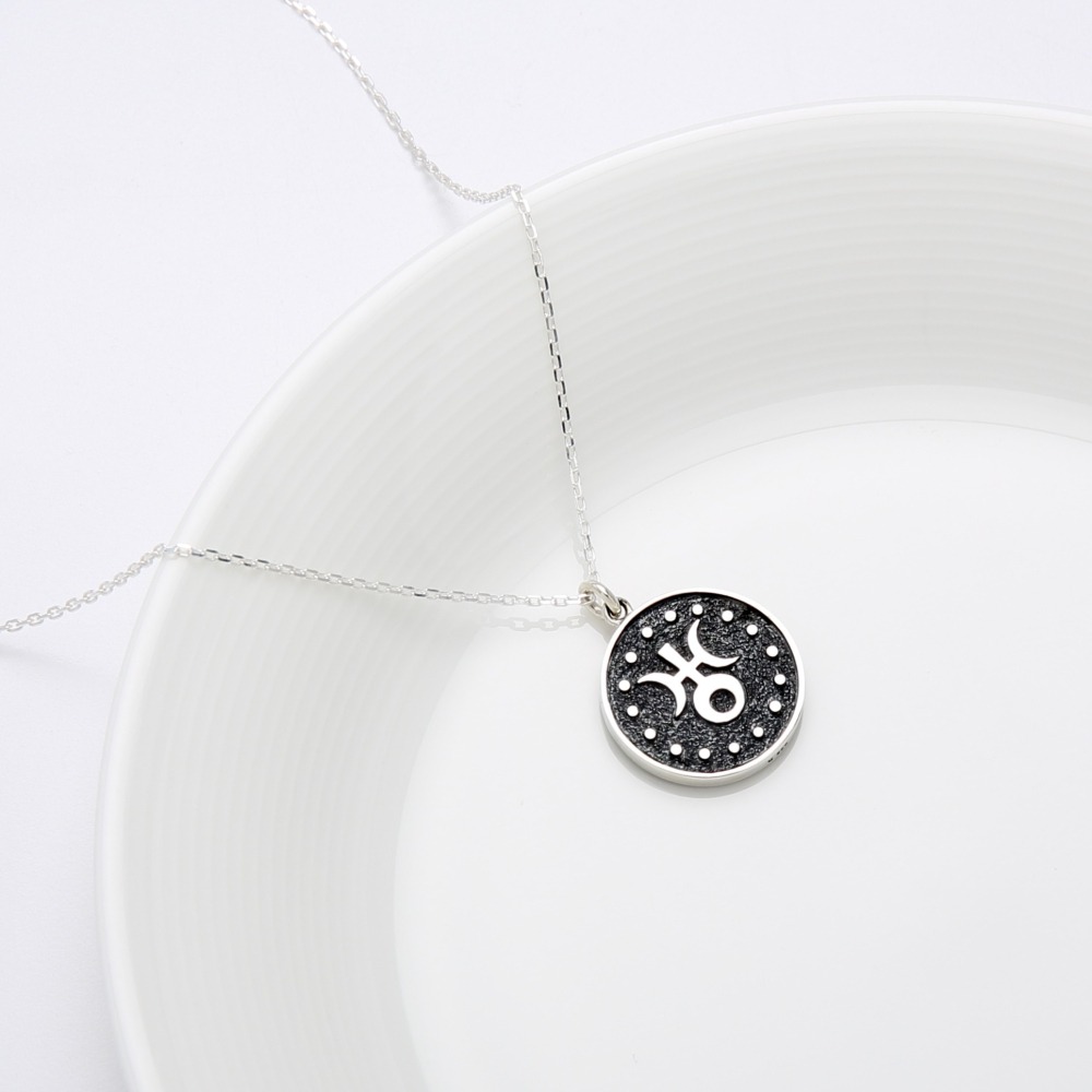 【Angel & Me】水瓶座 s925 純銀 項鍊 12星座 生日 情人節 禮物-細節圖4