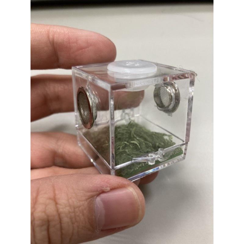 有現貨 跳蛛盒子 時尚跳蛛專用飼養盒-細節圖5