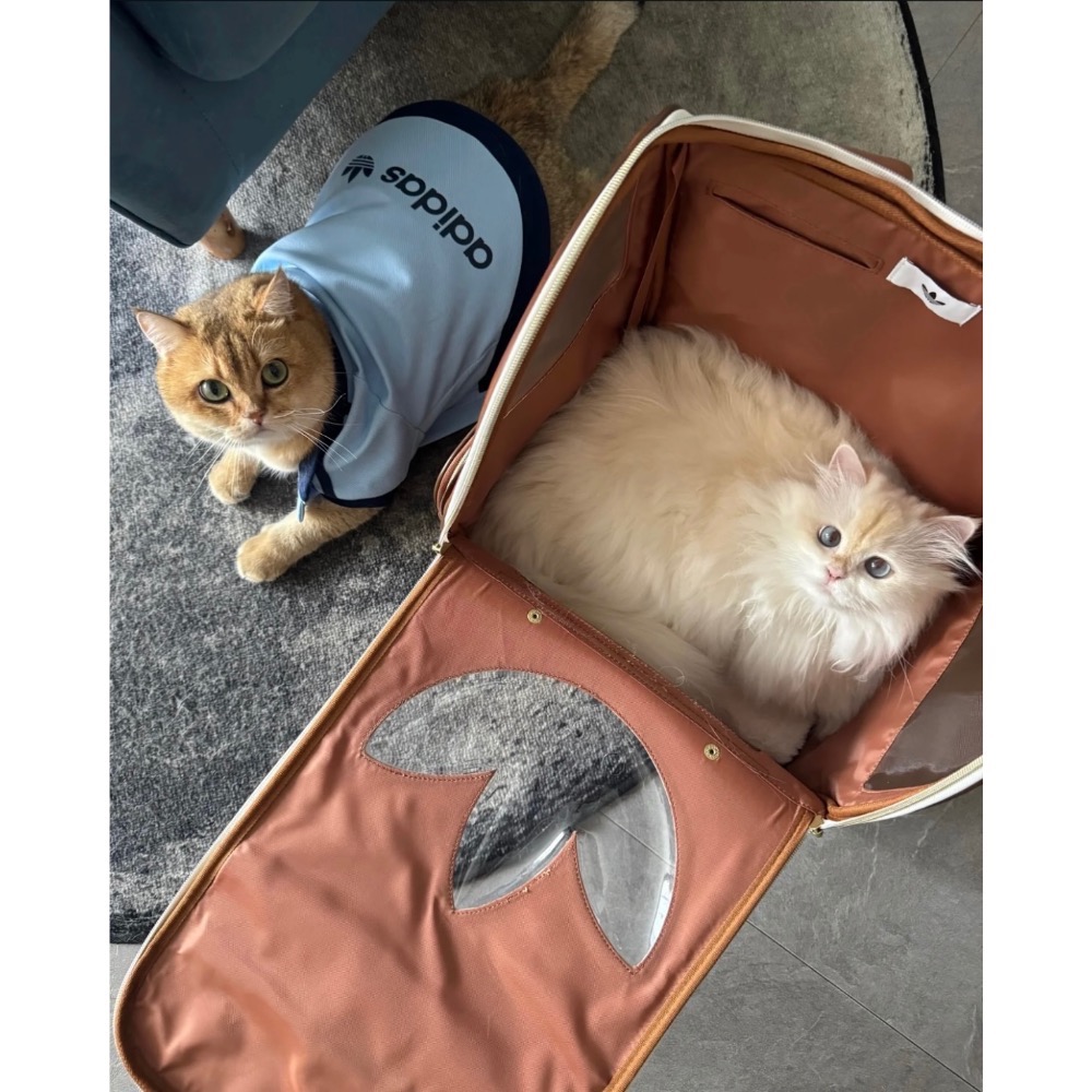 【BKS】ADIDAS ORIGINALS 三葉草 時尚 寵物外出 後背包/KH3419/國外代購-細節圖2