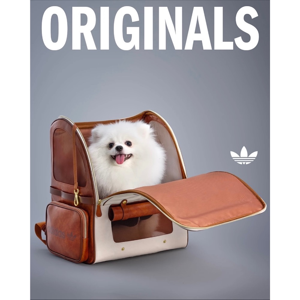 【BKS】ADIDAS ORIGINALS 三葉草 時尚 寵物外出 後背包/KH3419/國外代購-細節圖4